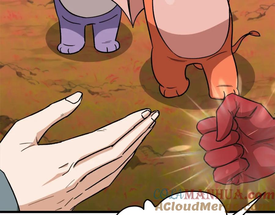第236页