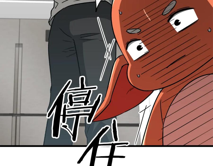 第247页