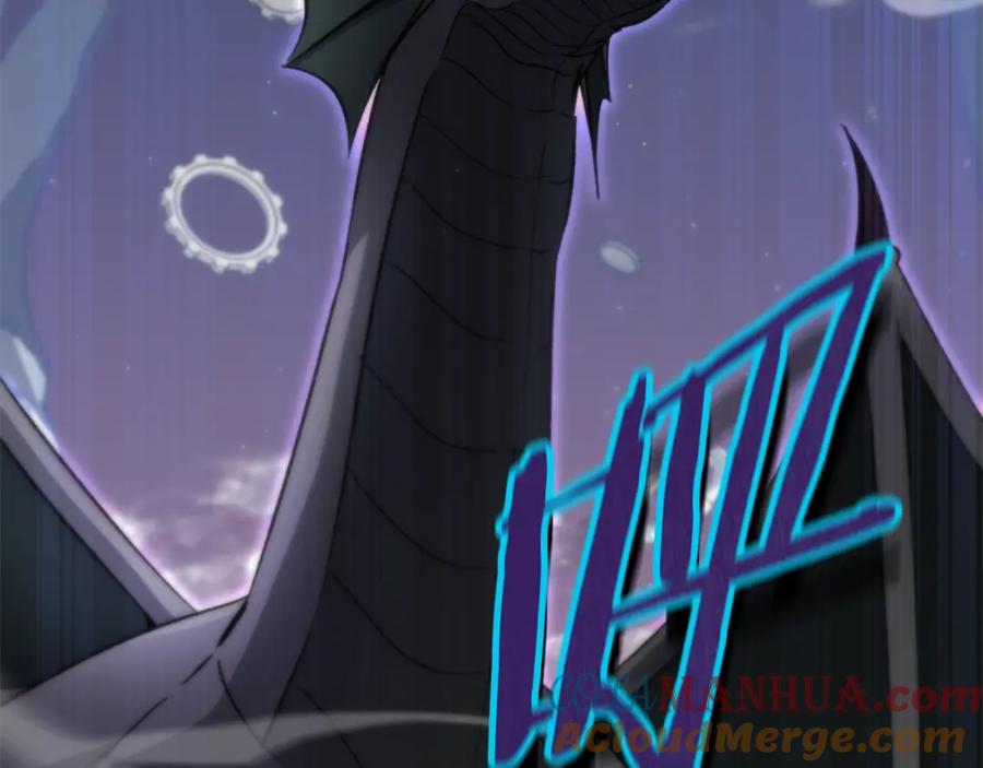 第217页