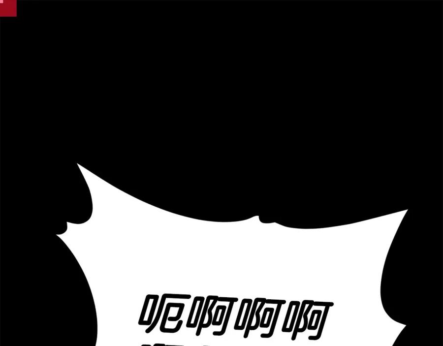 第224页
