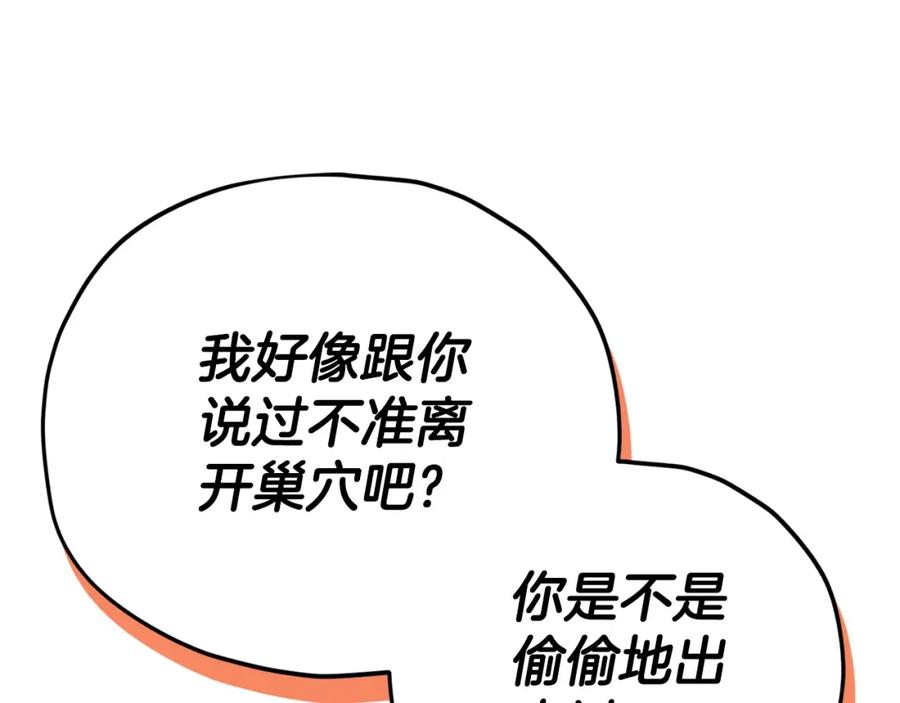 第242页