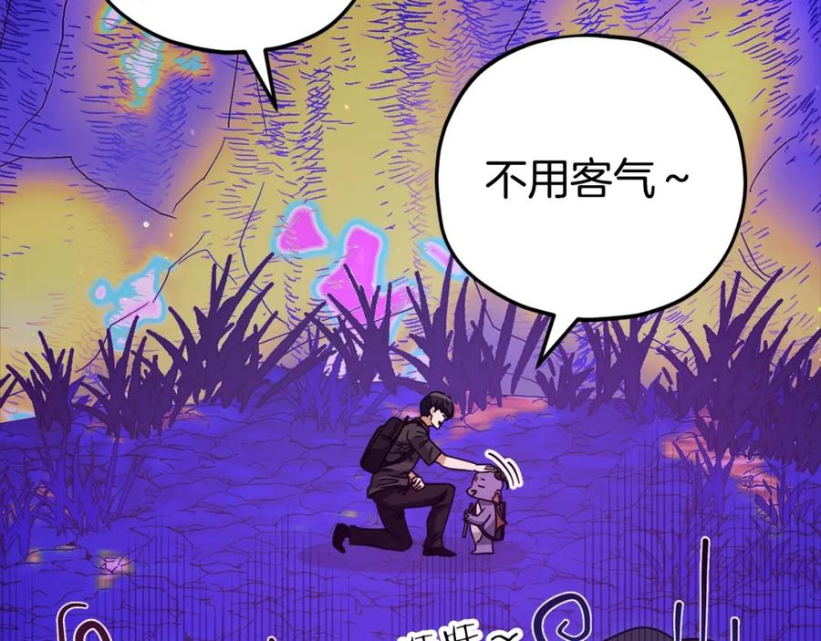 第223页