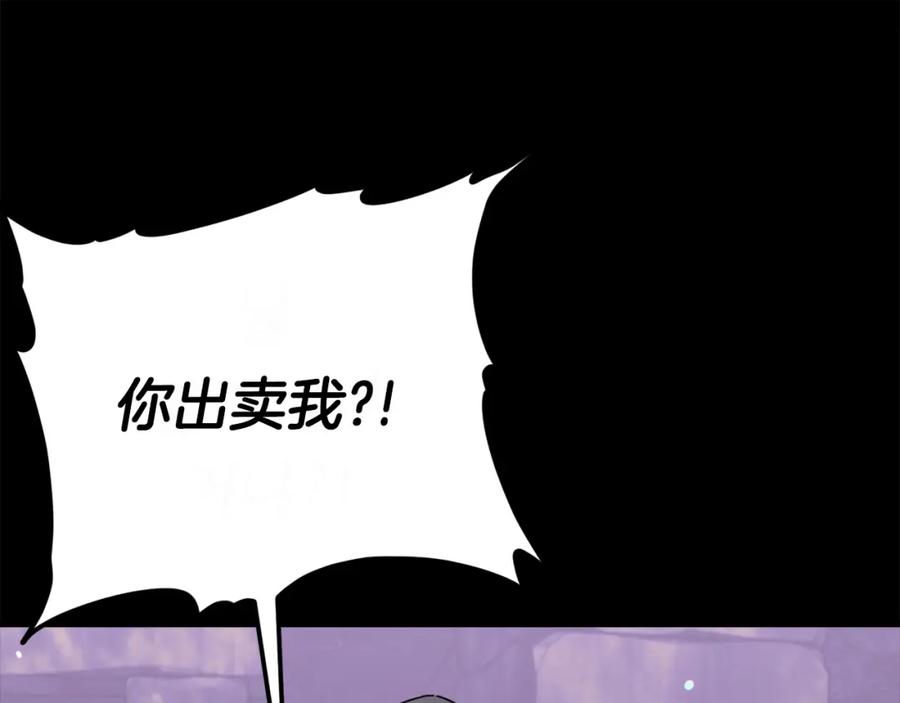 第223页