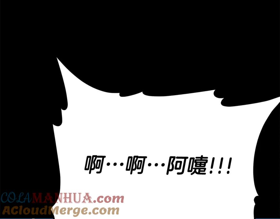 第213页