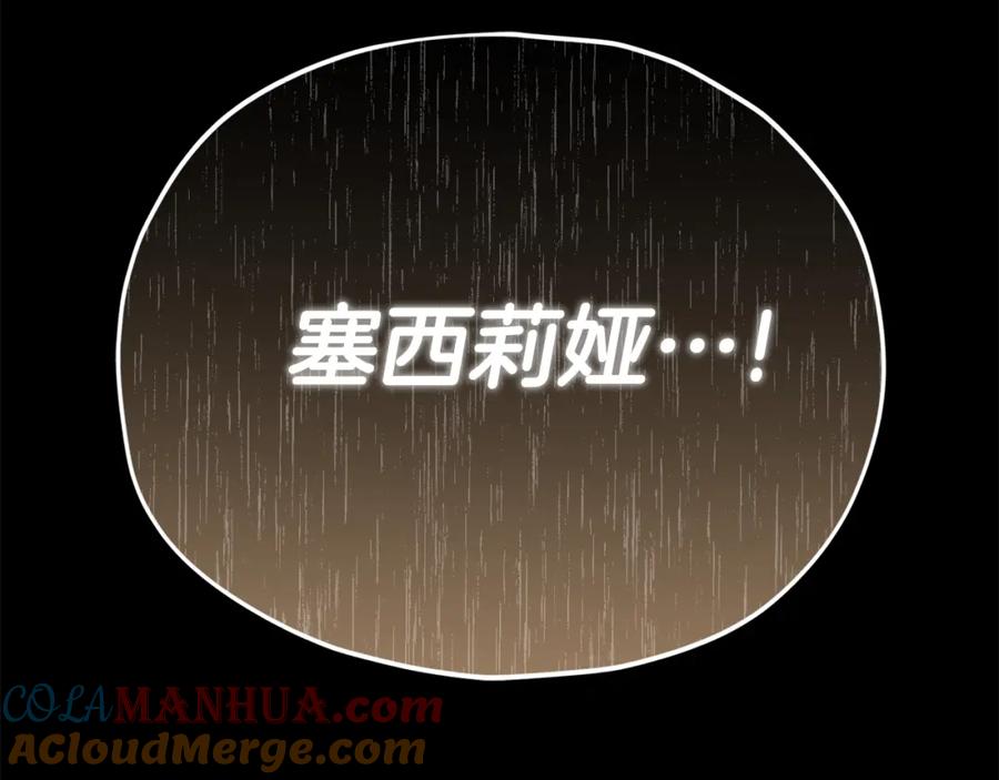 第217页