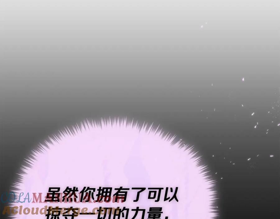 第229页
