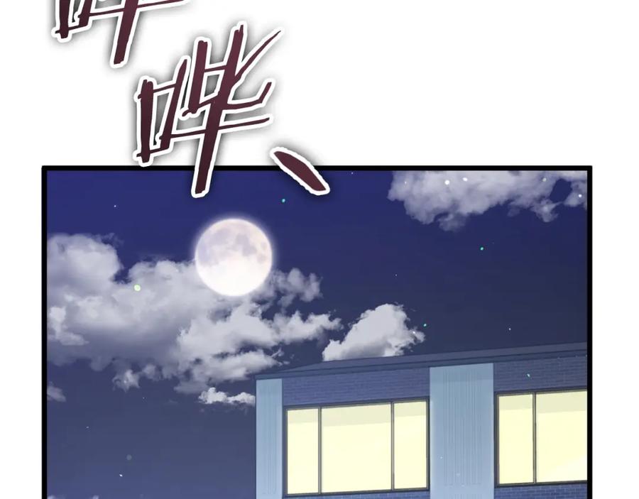 第207页