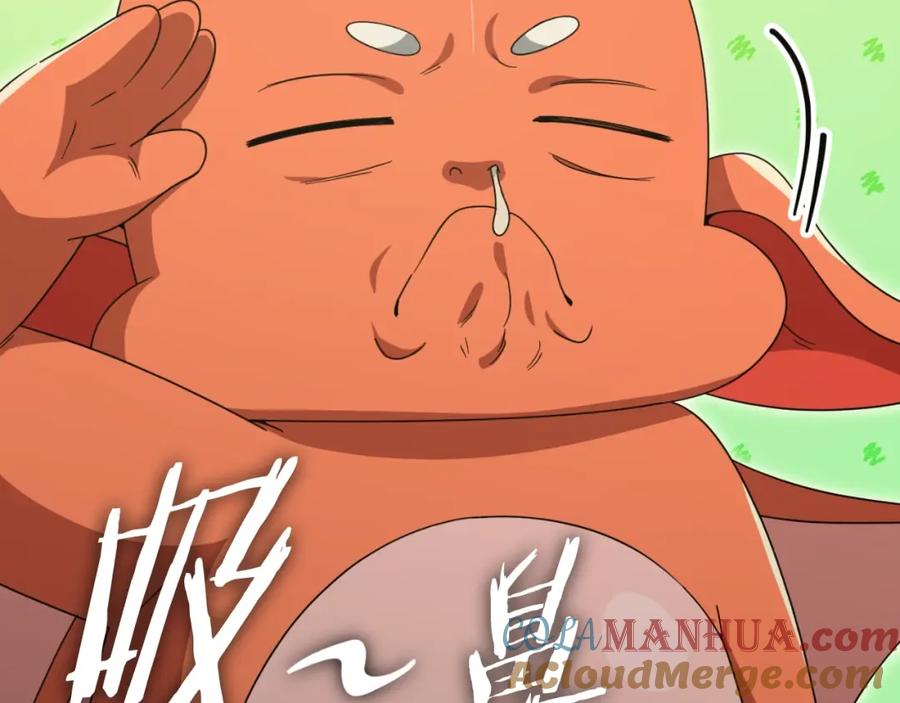 第240页