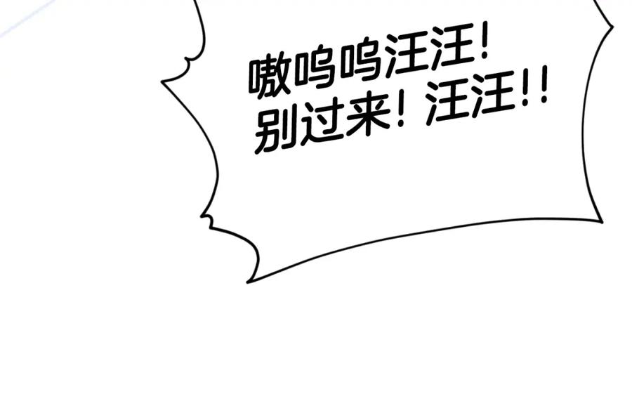 第211页