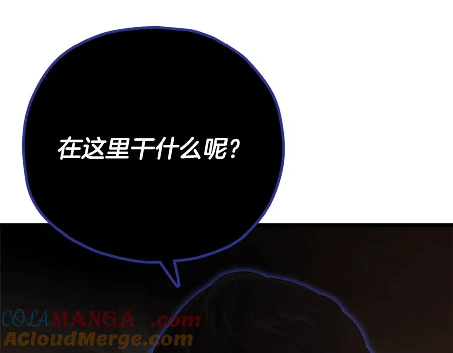 第217页