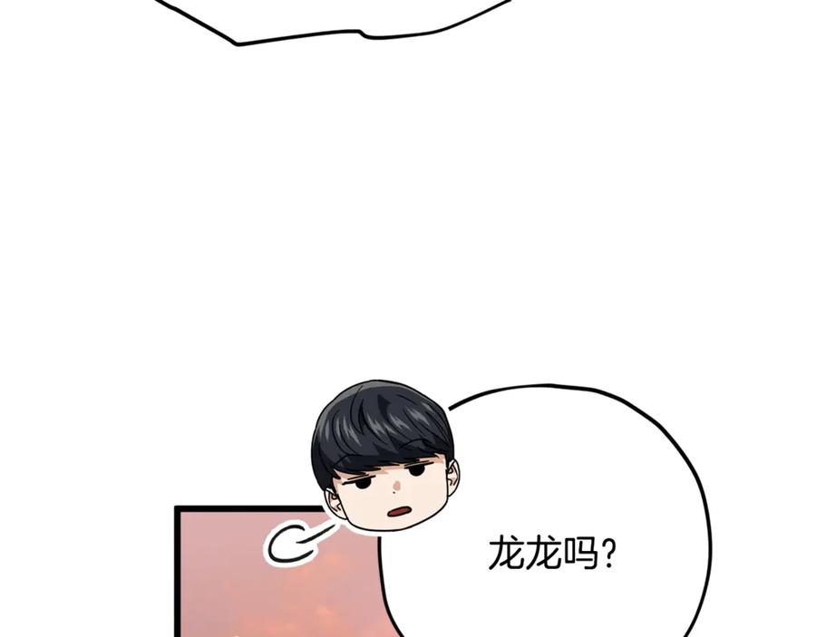 第223页