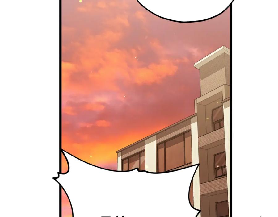 第224页