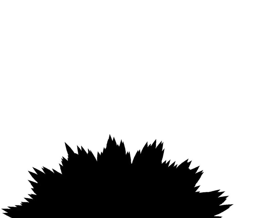 第204页
