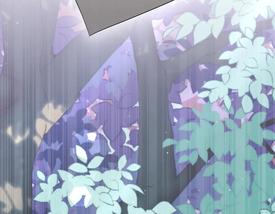 第215页