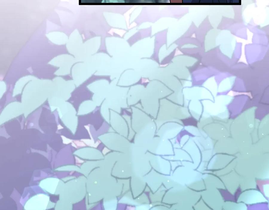 第224页