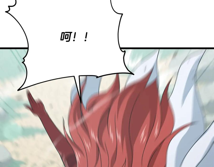 第202页