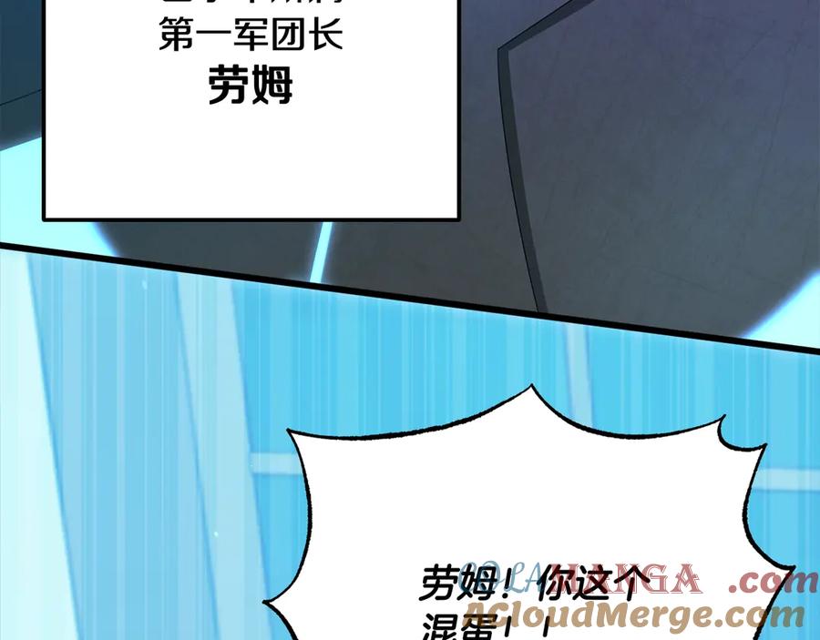 第233页