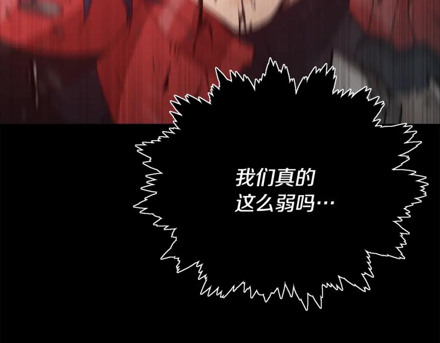 第223页