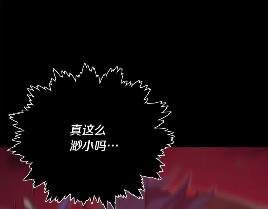 第224页