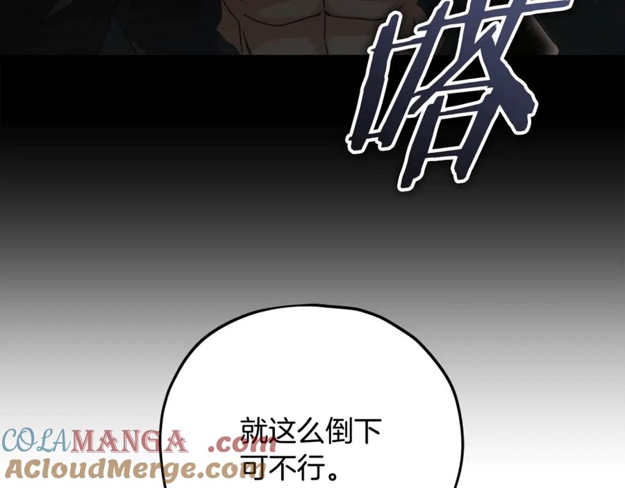 第229页