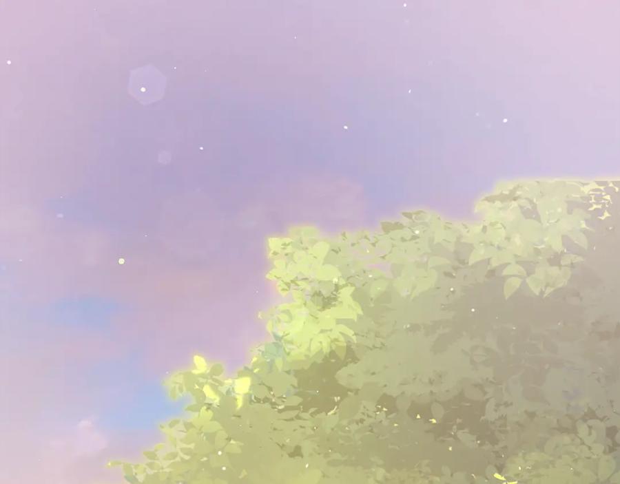 第250页