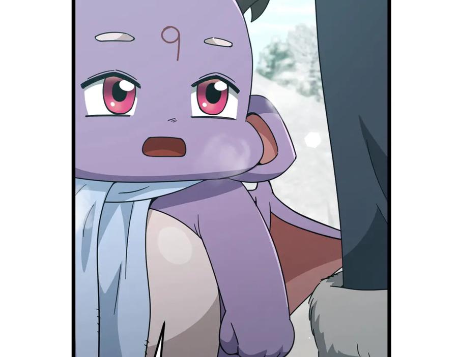 第204页