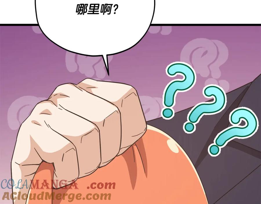 第213页