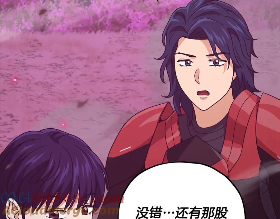 第205页