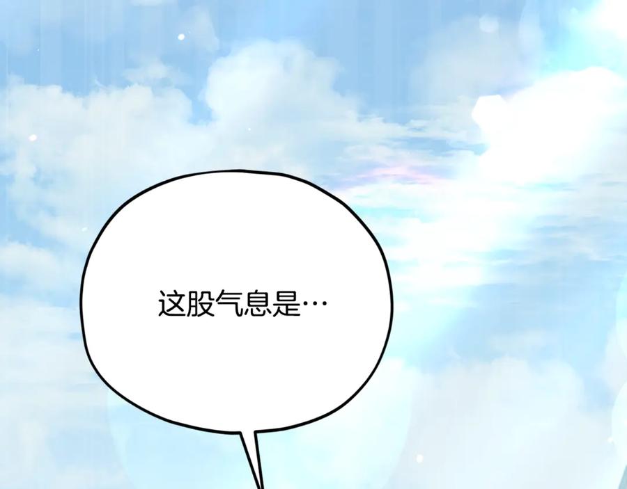 第230页