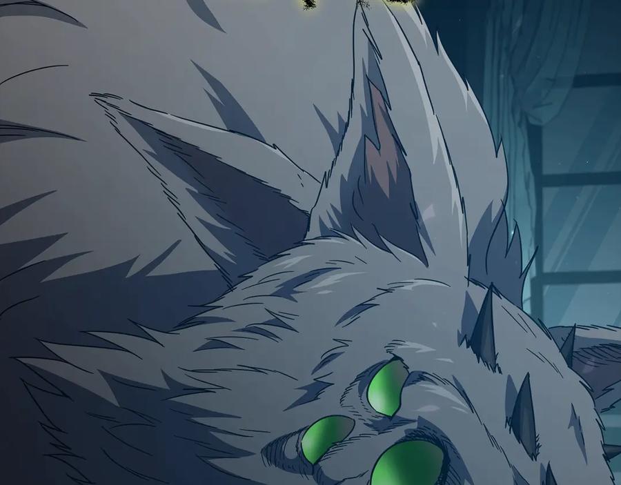 第242页