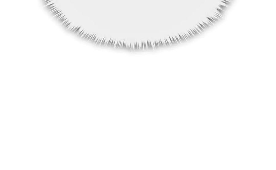 第224页