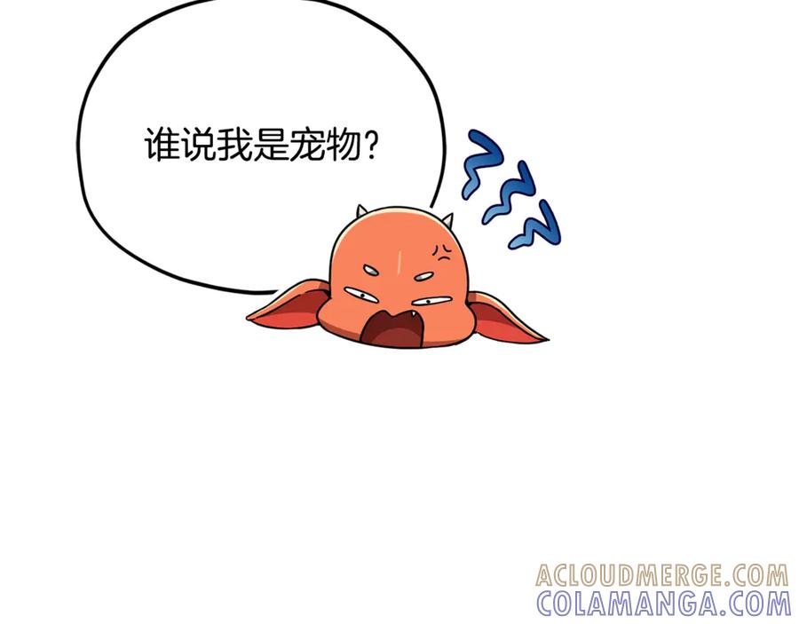 第205页