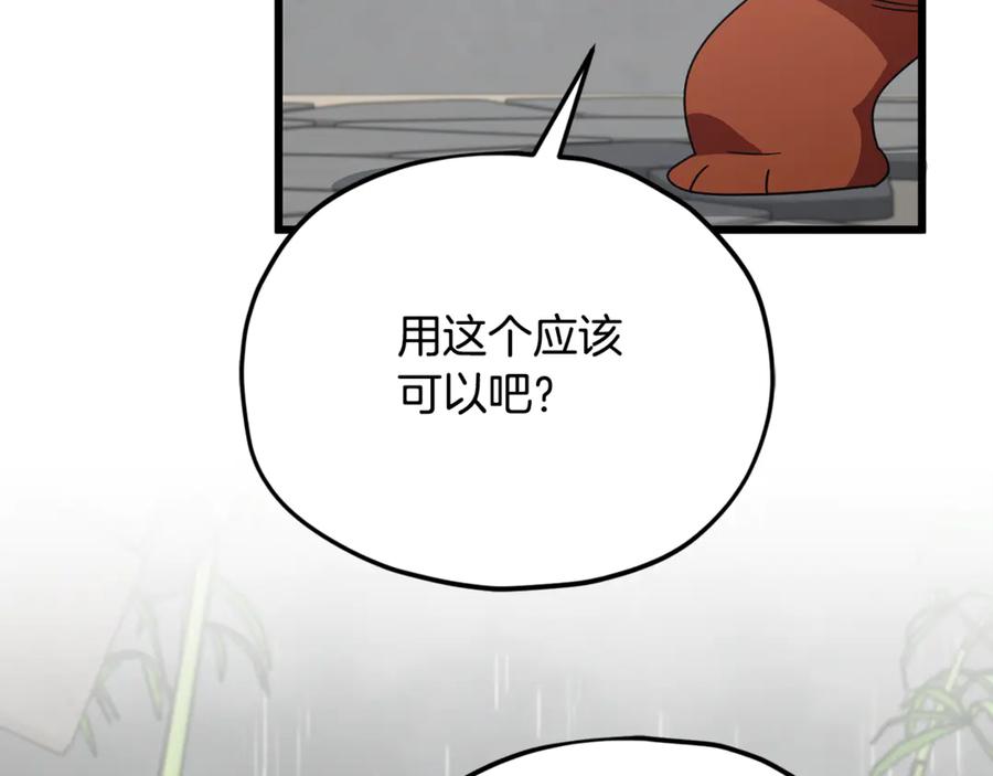 第194页