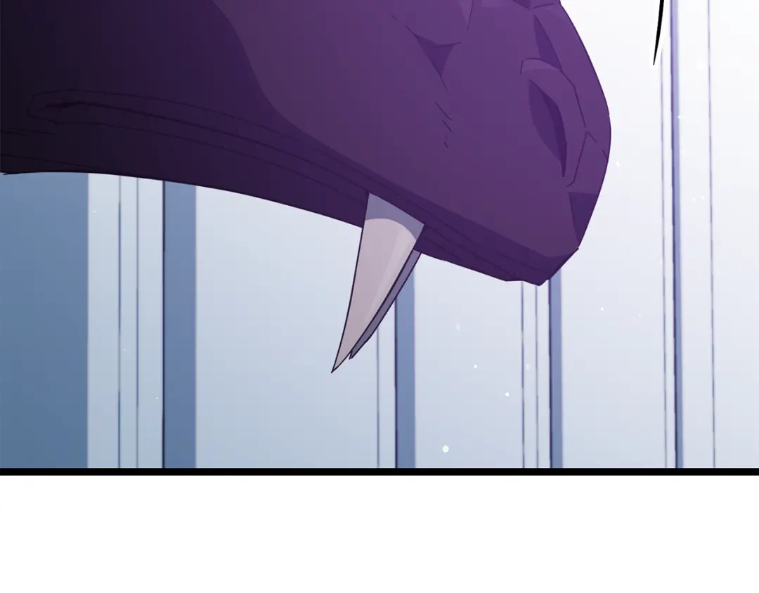 第240页