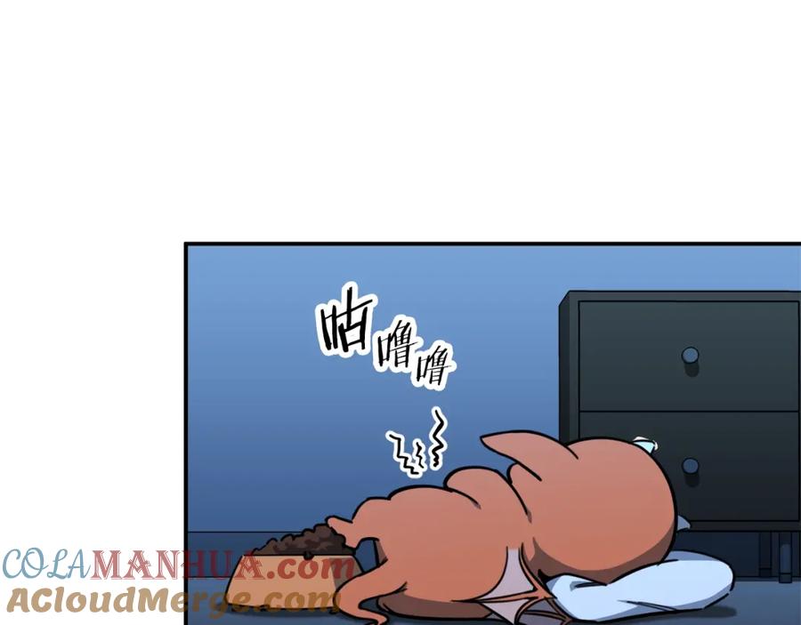 第185页