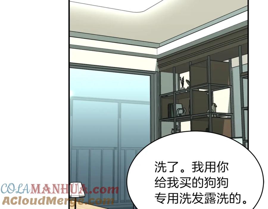 第221页