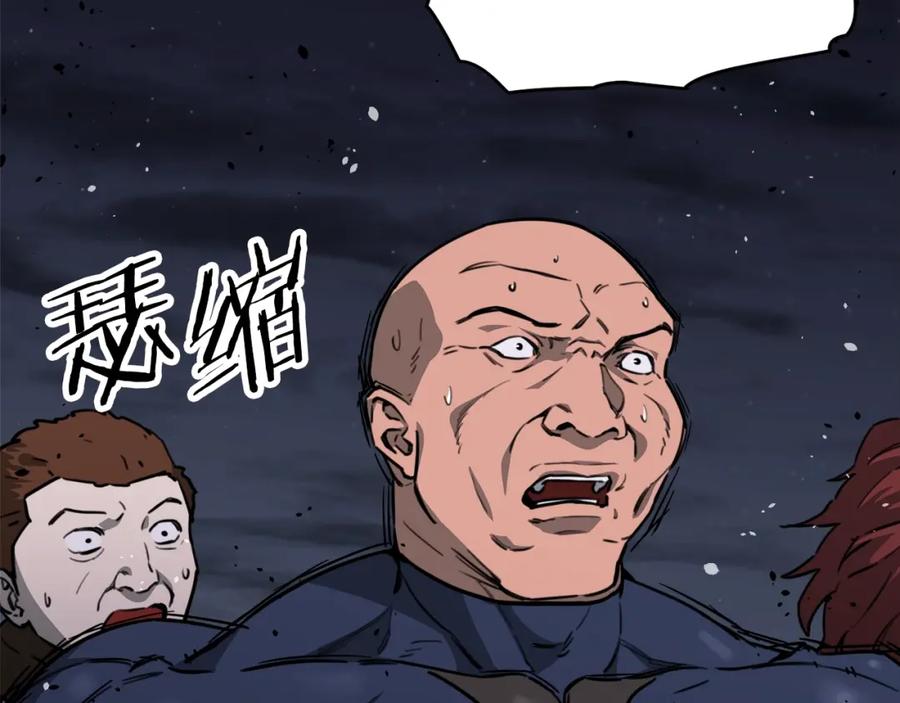 第204页