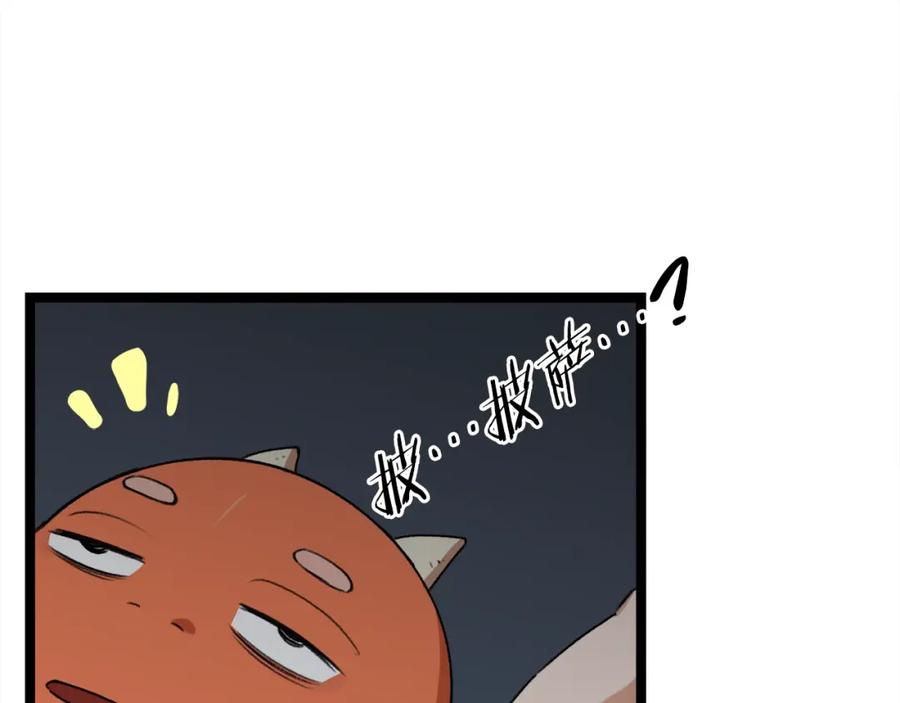 第215页