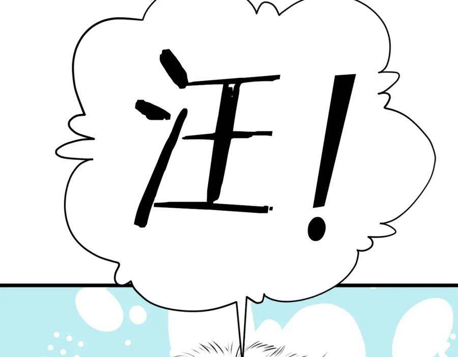 第227页