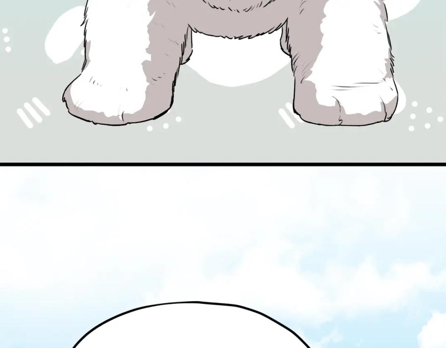 第229页