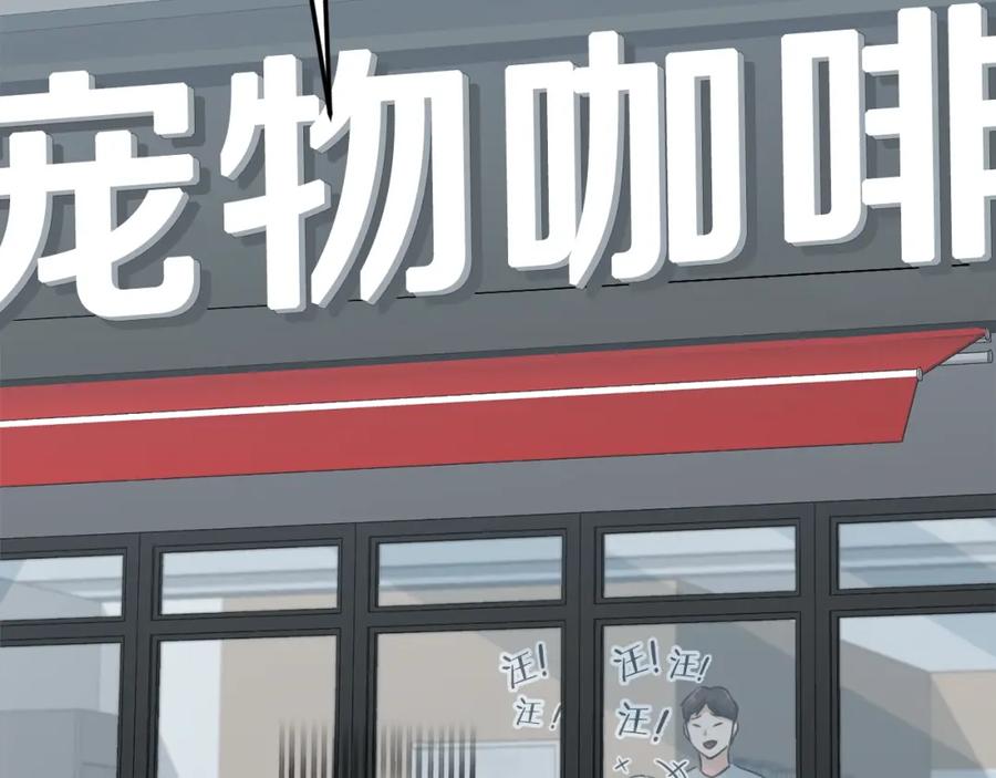 第231页