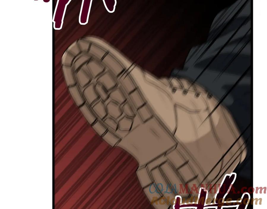 第221页