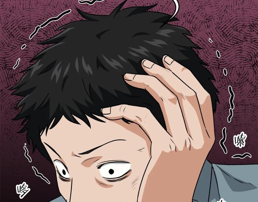 第231页