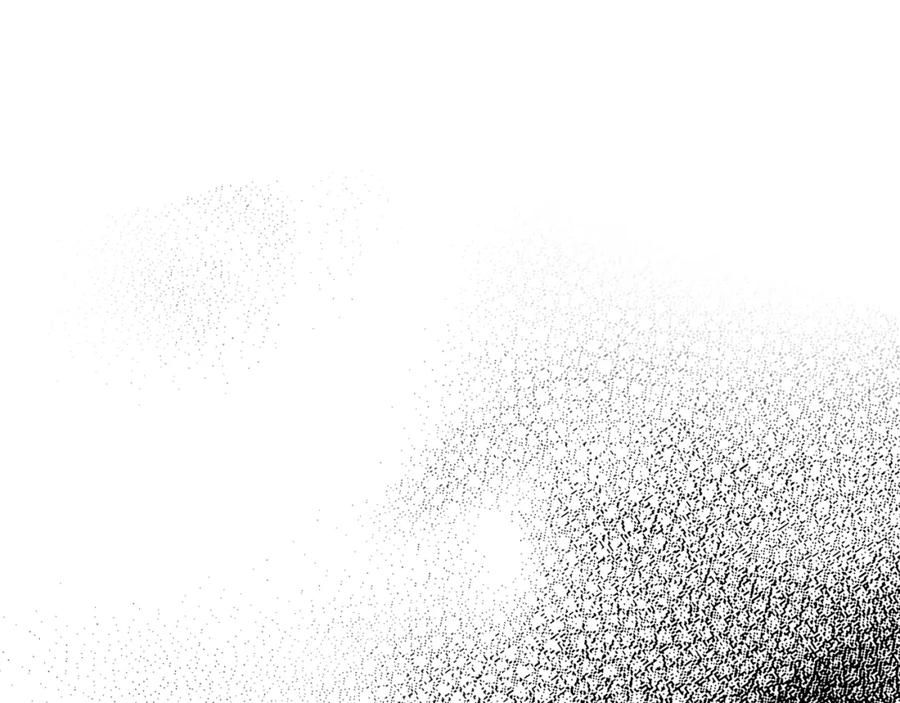 第204页