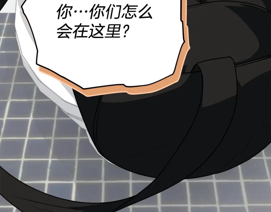 第248页