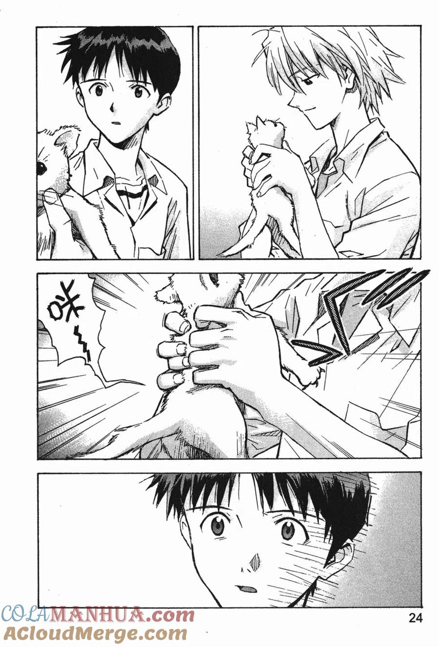 第25页