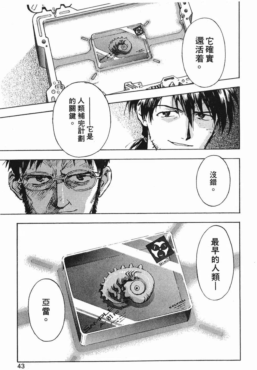 第42页