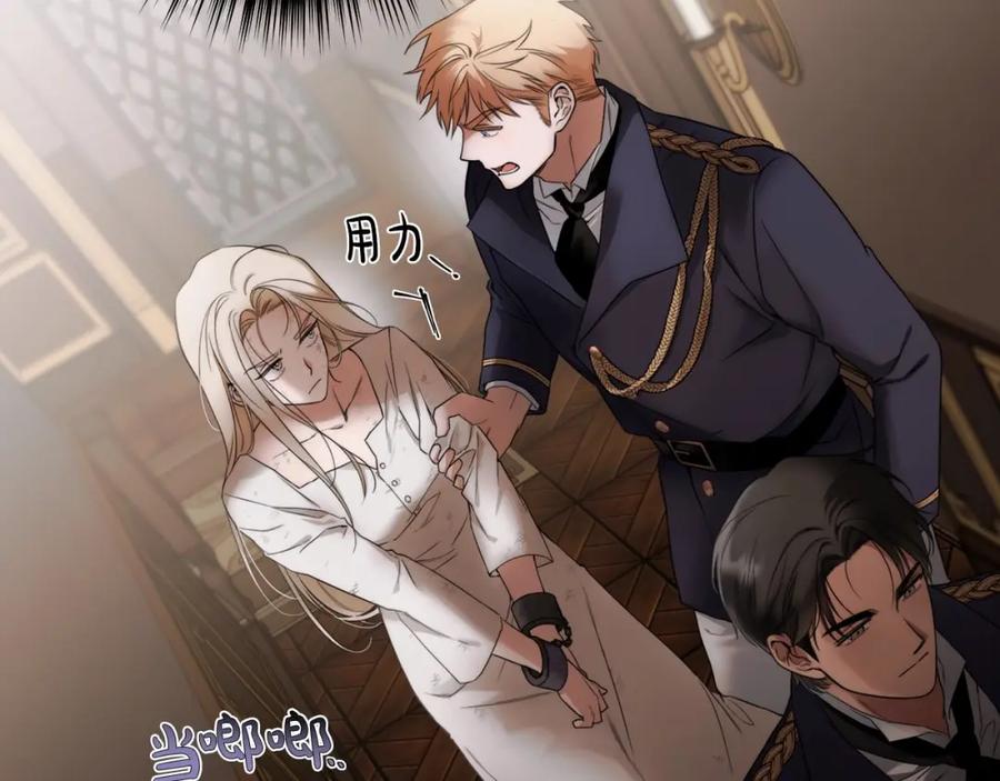 第204页