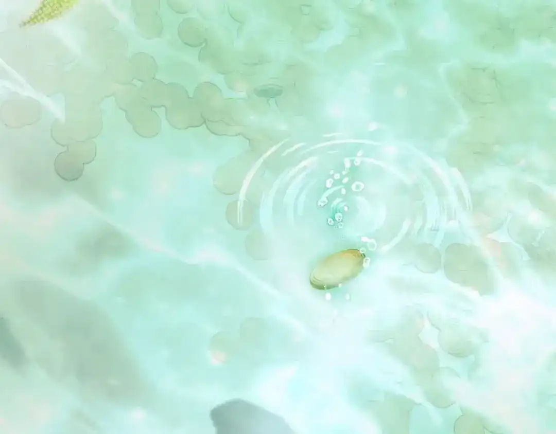 第178页