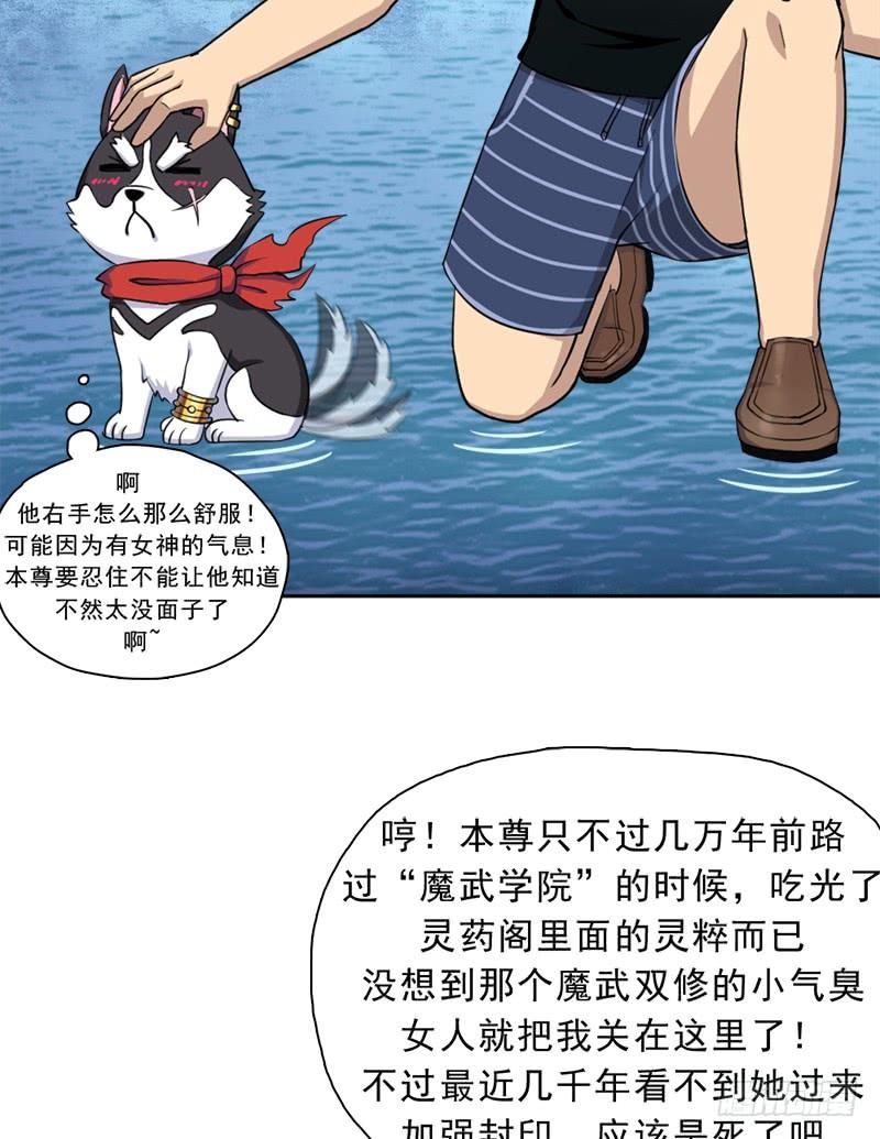 第34页